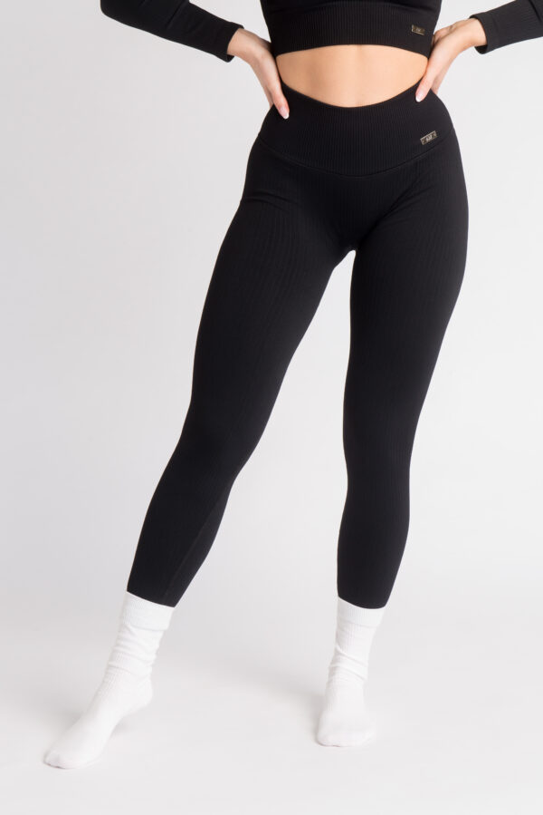 Seamless Ribbed Leggings Zaragoza  International Society of Precision  Agriculture